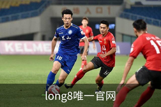 long8唯一官网公司简介